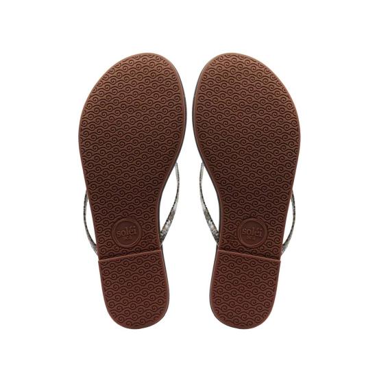  Solei Sea 슈즈 솔레이 씨 코파 리자드 프린트 샌들 브라운/리자드 - OTHER BRANDS