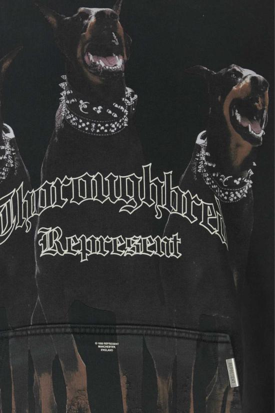  리프레젠트 후드 티셔츠 차콜 코튼 서러브레드 스웨트셔츠 빈티지 블랙 - REPRESENT