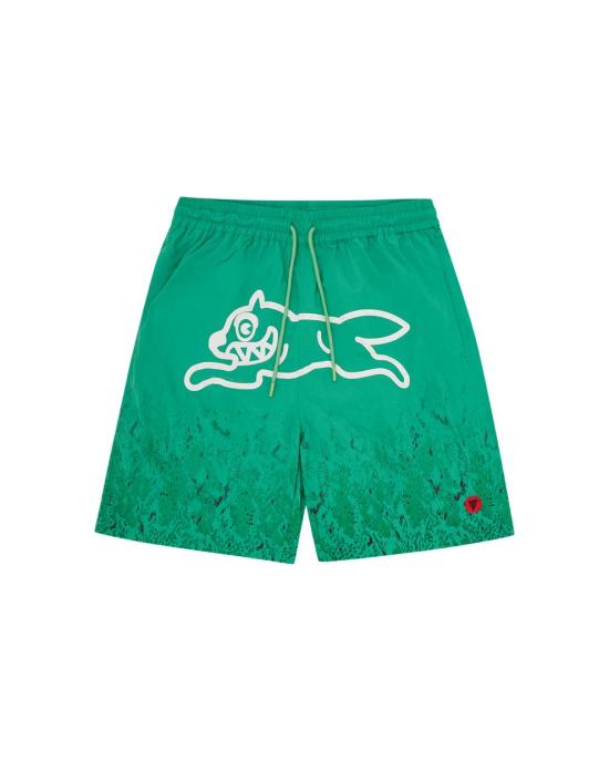 26SS 아이스크림 숏팬츠 IC26113 GREEN DOM