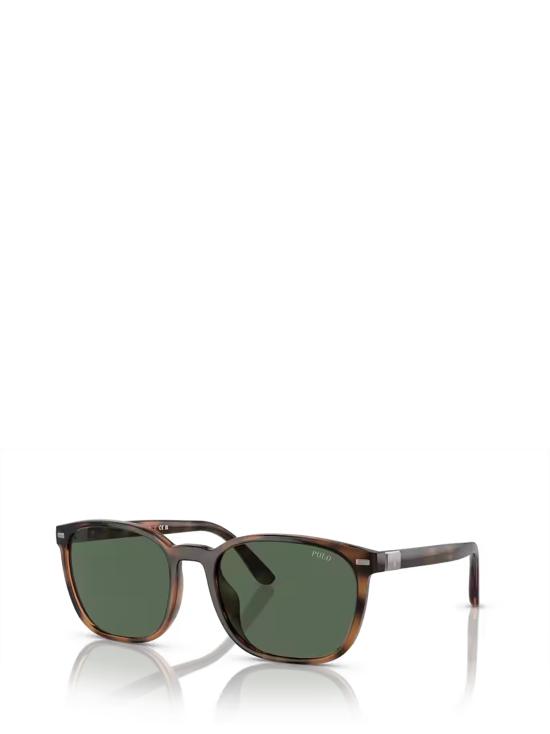 26FW 폴로 랄프로렌 선글라스 PH4208U 597471 SHINY HAVANA - POLO RALPH LAUREN