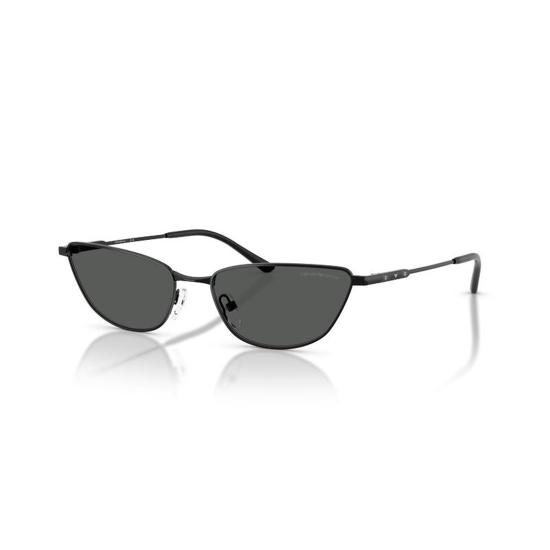  엠포리오 아르마니 선글라스 EA2174B 301487 Black