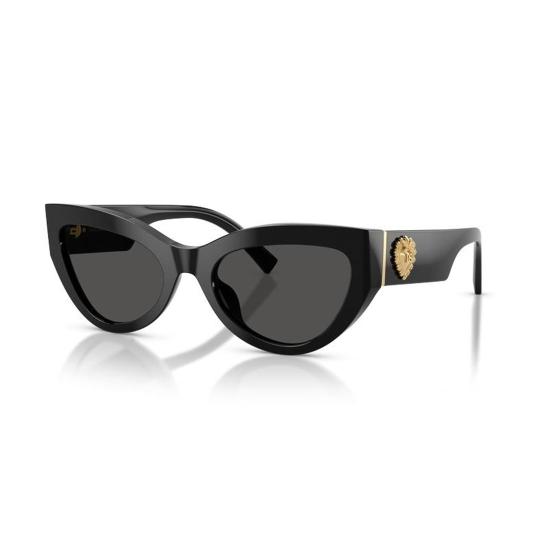  돌체앤가바나 선글라스 DG4536 501 87 Black