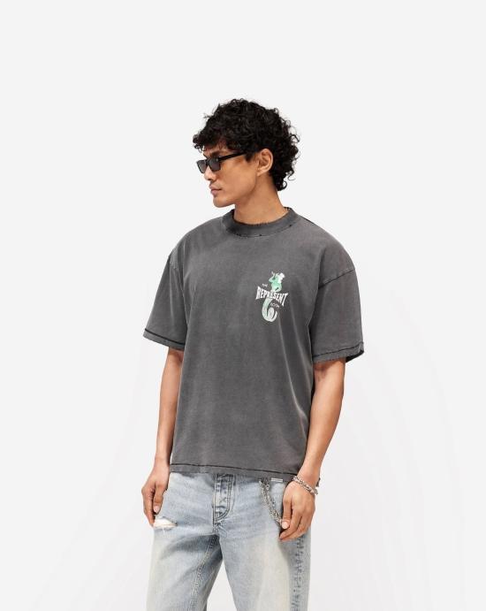  리프레젠트 반팔 티셔츠 MLM100598 47 Vintage grey - REPRESENT