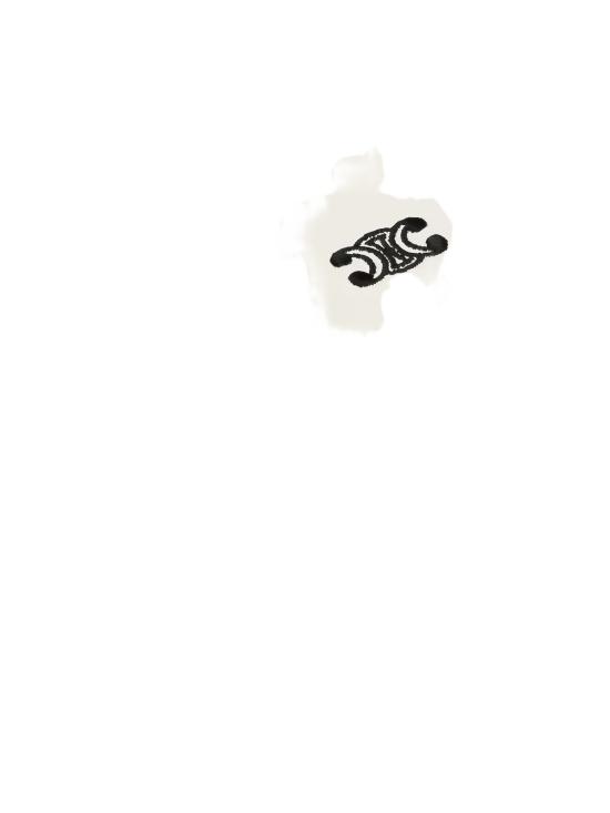 25FW 셀린느 반팔 티셔츠 RX0AF671Q BLACK CREAM 38CR - CELINE