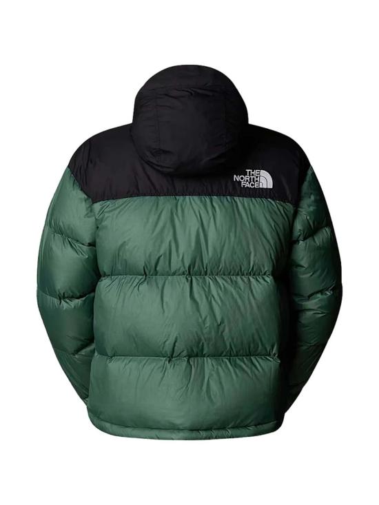 26SS 노스페이스 1996 RETRO 레트로 눕시 자켓 NF0A3C8DDIW1 Green - NORTH FACE