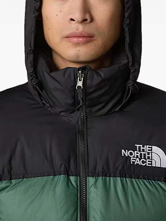 26SS 노스페이스 1996 RETRO 레트로 눕시 자켓 NF0A3C8DDIW1 Green - NORTH FACE
