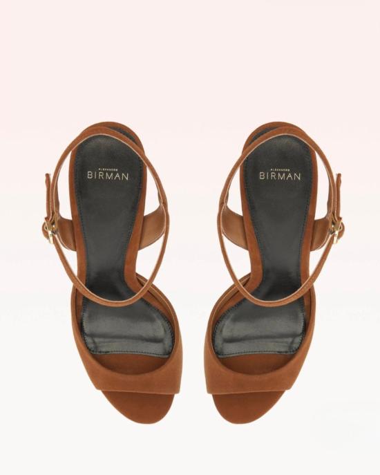  알렉산더버만 힐/펌프스 Alexandre Birman 에이미 120  에스프레소 스웨이드 - ALEXANDRE BIRMAN