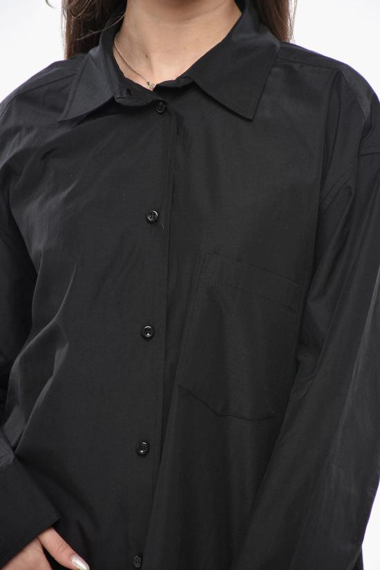  안다마네 셔츠 TM170901B TNC181 BLACK - ANDAMANE