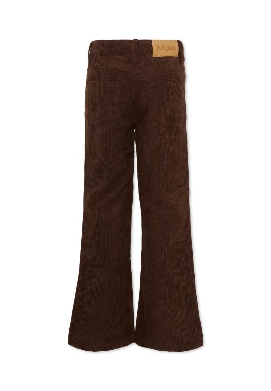 26FW [키즈] 몰로 스트레이트 팬츠 2W26I104 5993 BROWN - MOLO
