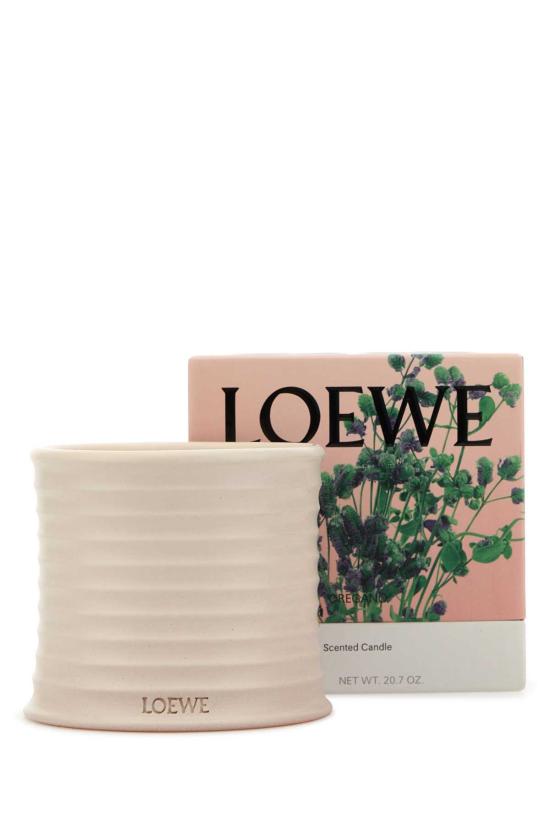 25SS 로에베 가죽소품 LW67805 000 White - LOEWE