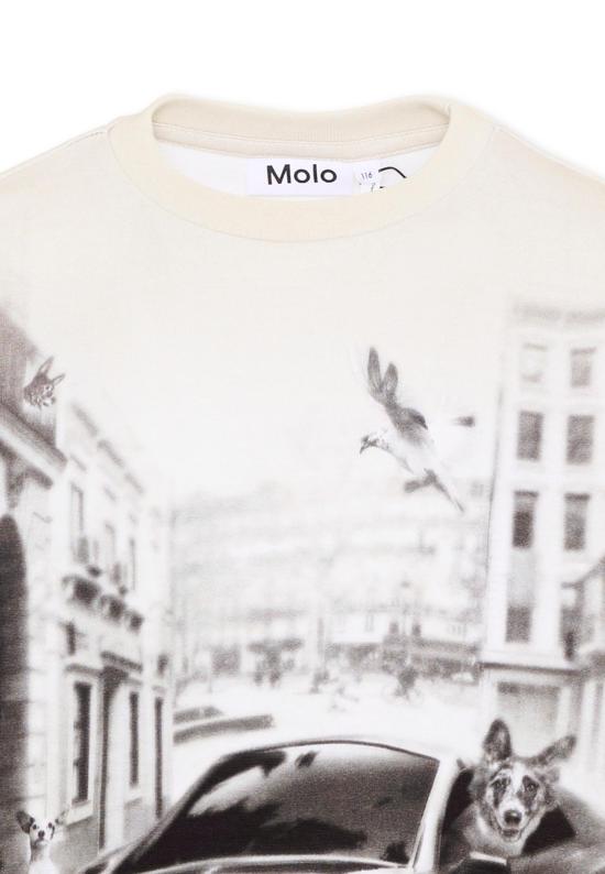 26FW [키즈] 몰로 티셔츠 1W26A203 5922 GREY - MOLO