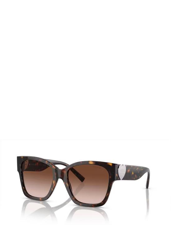 26FW 티파니앤코 선글라스 TF4216 80153B HAVANA - TIFFANY & CO