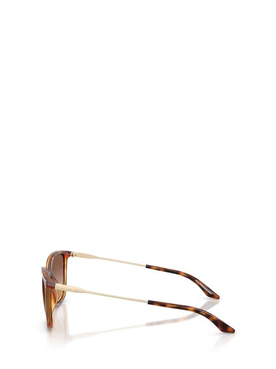 26FW 알마니 선글라스 AX4171SU 821313 SHINY HAVANA - ARMANI