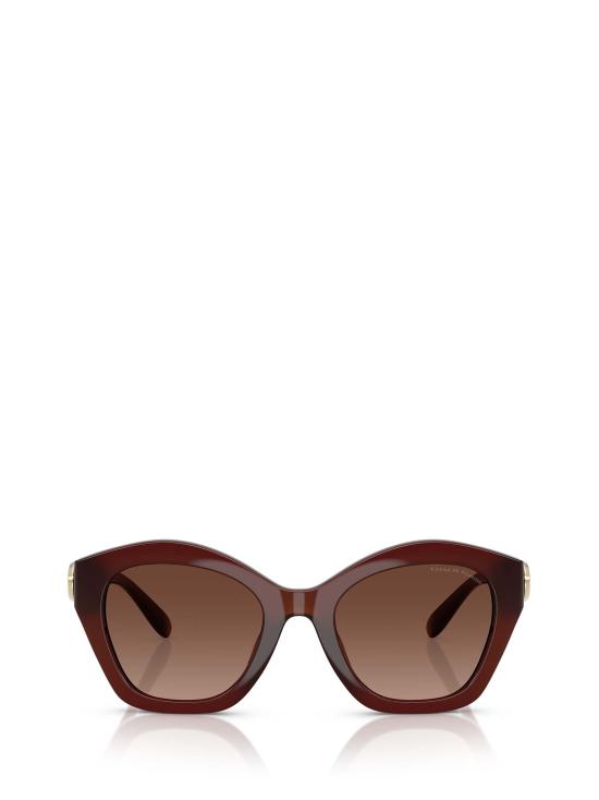 26FW 코치 선글라스 HC8421U 5841T5 BROWN