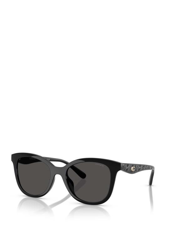26FW 코치 선글라스 HC8419U 500287 BLACK - COACH