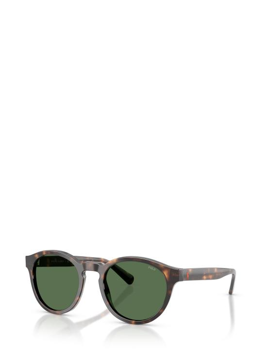 26FW 폴로 랄프로렌 선글라스 PH4192 500371 SHINY DARK HAVANA - POLO RALPH LAUREN