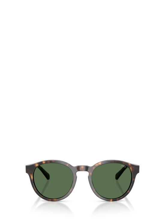 26FW 폴로 랄프로렌 선글라스 PH4192 500371 SHINY DARK HAVANA