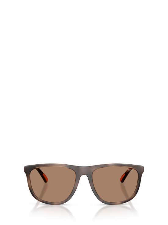 26FW 폴로 랄프로렌 선글라스 PH4231U 597473 MATTE DARK HAVANA