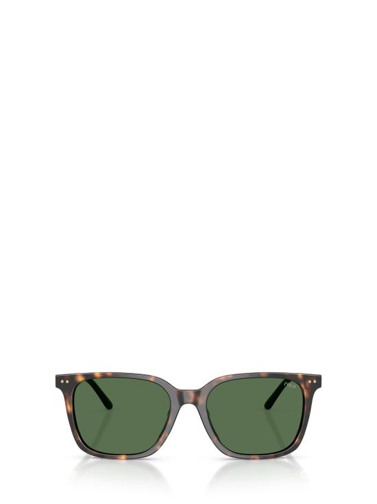26FW 폴로 랄프로렌 선글라스 PH4235U 500371 SHINY DARK HAVANA