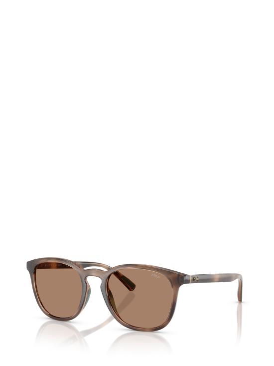 26FW 폴로 랄프로렌 선글라스 PH4222U 597473 SHINY DARK HAVANA - POLO RALPH LAUREN