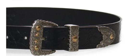 26SS 핑코 레귤러 벨트 106692A315Z99O Black - PINKO