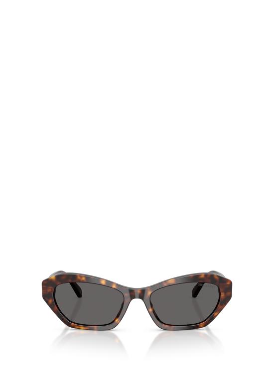 26FW 스와로브스키 선글라스 SK6048 100287 HAVANA