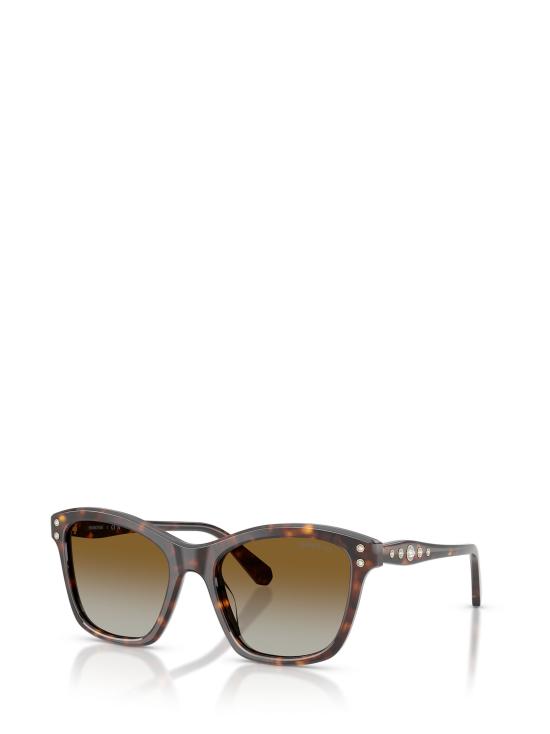 26FW 스와로브스키 선글라스 SK6063 1002T5 HAVANA - SWAROVSKI