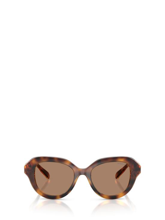 26FW 스와로브스키 선글라스 SK6037 100273 HAVANA