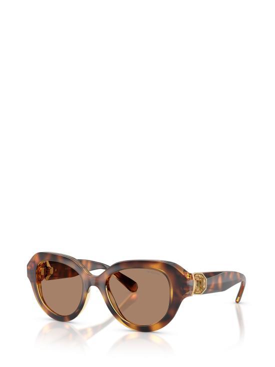 26FW 스와로브스키 선글라스 SK6037 100273 HAVANA - SWAROVSKI