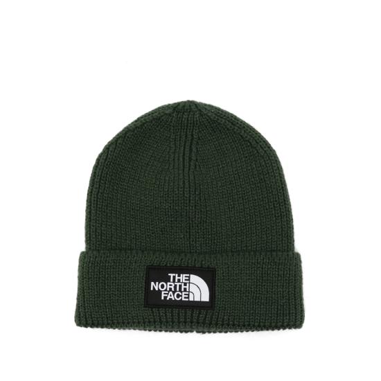 26FW 노스페이스 TNF 로고 박스 커프드 비니 NF0A8CHENLW1 GREEN