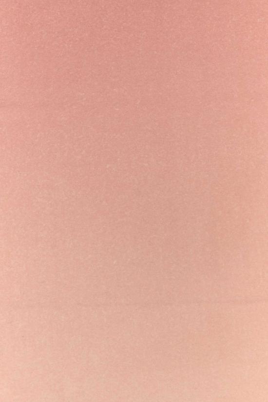  살바토레 페라가모 머플러/스카프 페라가모 핑크 캐시미어 스카프 핑크 - SALVATORE FERRAGAMO