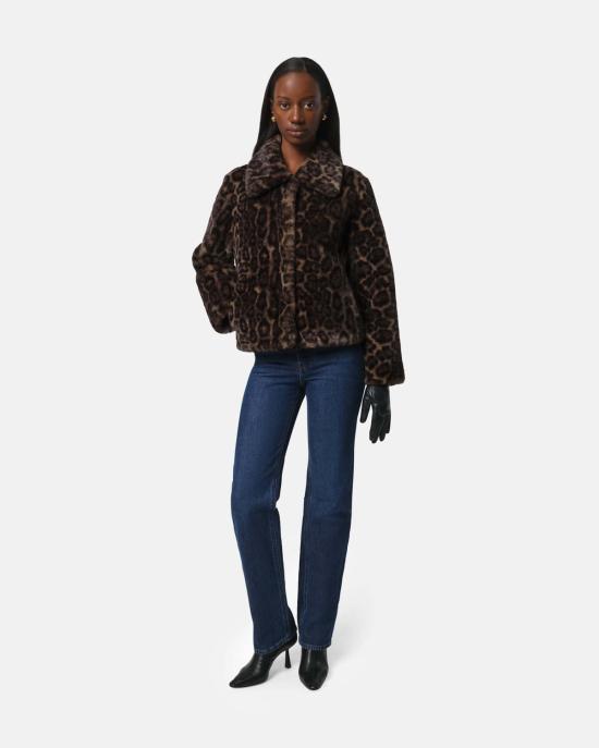  아파리 무스탕 스 엘리스 레오파드