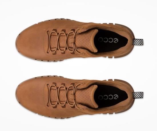 26SS 에코 스니커즈 525204 12034 CAMEL DOM - ECCO