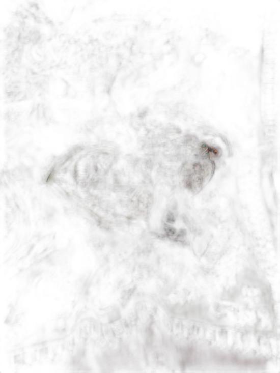 26SS 에트로 머플러/스카프 WATA0009AKD96X0800 Patterned - ETRO