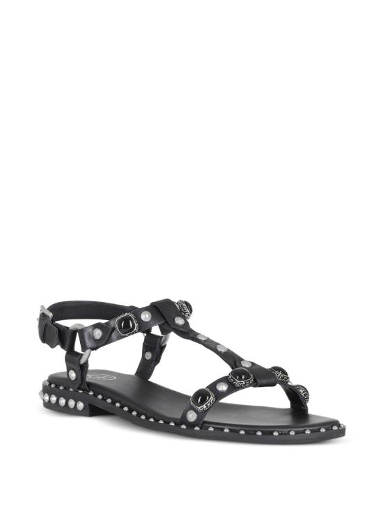 26SS 아쉬 슈즈 PODIUM BLACK - ASH