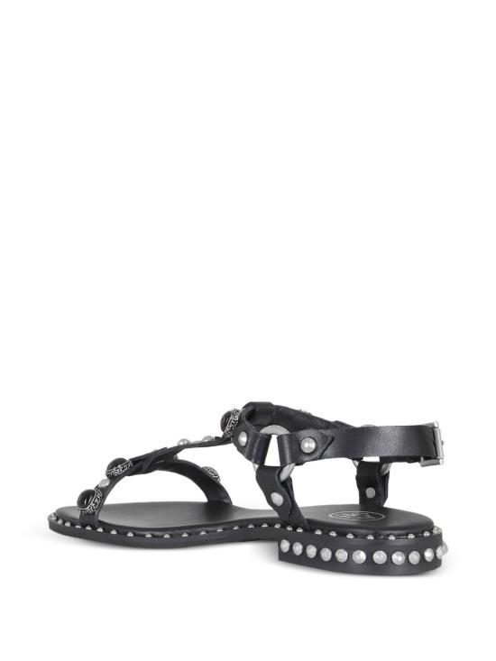 26SS 아쉬 슈즈 PODIUM BLACK - ASH