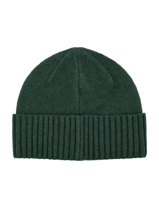 26FW 파타고니아 비니 29206 TLGR Verde - PATAGONIA