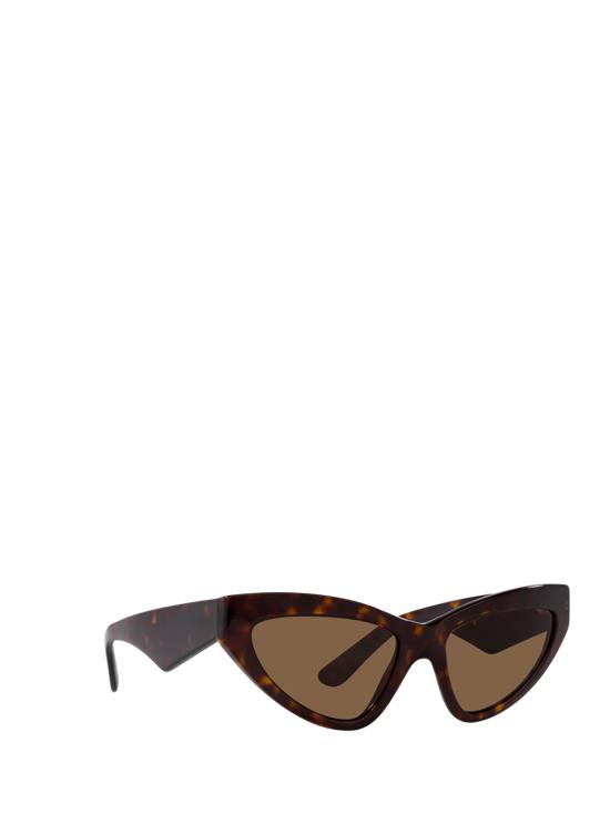 26FW 돌체앤가바나 선글라스 DG4439 502 73 HAVANA - DOLCE & GABBANA