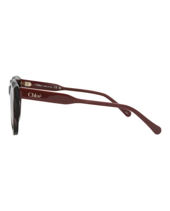  끌로에 선글라스 CH0295S 30016337 002 50149 NS Burgundy - CHLOE