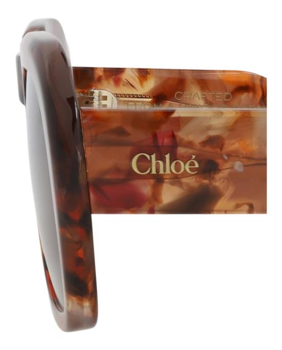  끌로에 선글라스 CH0310S 30016294 005 20355 NS Brown - CHLOE