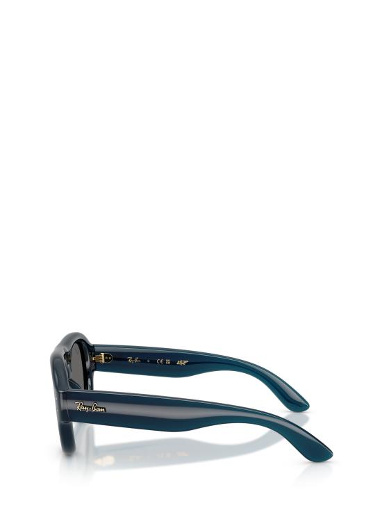 26FW 레이밴 선글라스 RB4925 689587 TRANSPARENT BLUE - RAY BAN