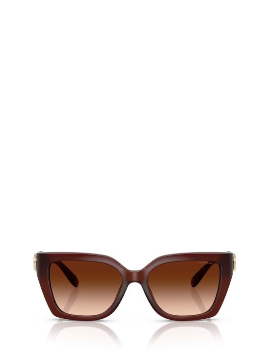 26FW 코치 선글라스 HC8408U 584174 BROWN