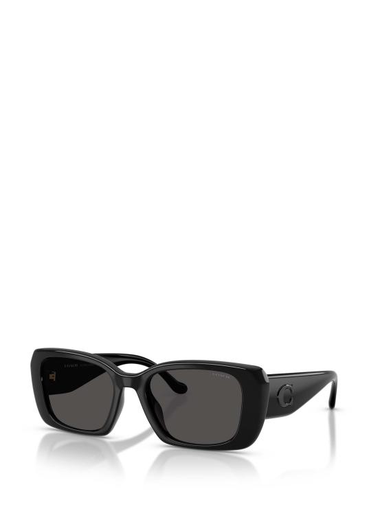 26FW 코치 선글라스 HC8435U 500287 BLACK - COACH