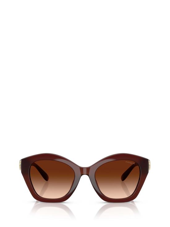 26FW 코치 선글라스 HC8421U 584174 BROWN