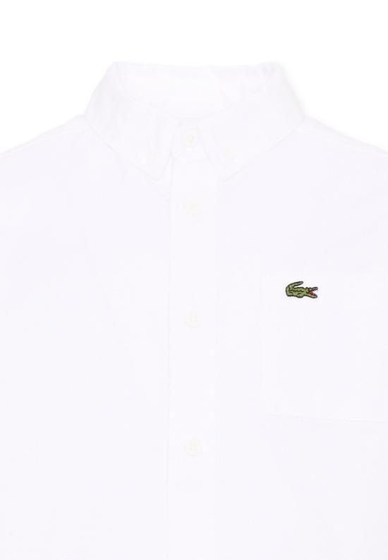 26FW [키즈] 라코스테 탑 7148 W8L WHITE - LACOSTE