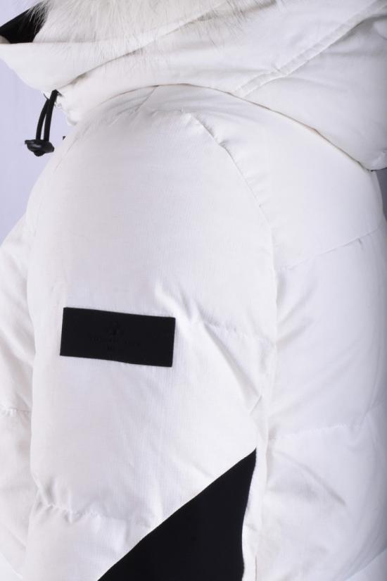 25FW 페트레이 숏패딩 45196 85204 White - PEUTEREY
