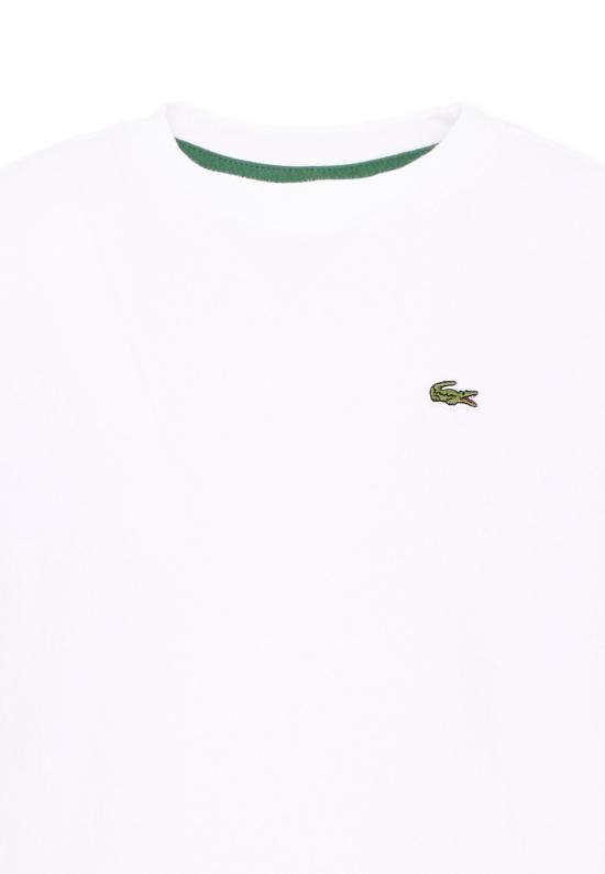 26FW [키즈] 라코스테 티셔츠 7867 W8L WHITE - LACOSTE