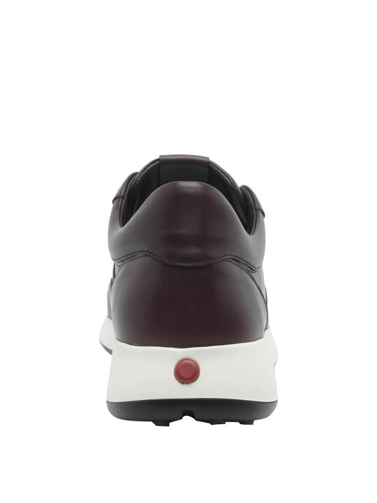 26FW 토즈 스니커즈 XXM79K0IP51THCS804 BROWN - TODS
