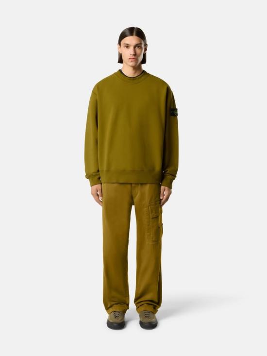 26FW 스톤 아일랜드 긴팔 티셔츠 L2S15 6100022 S0A20 V005R Cactus - STONE ISLAND