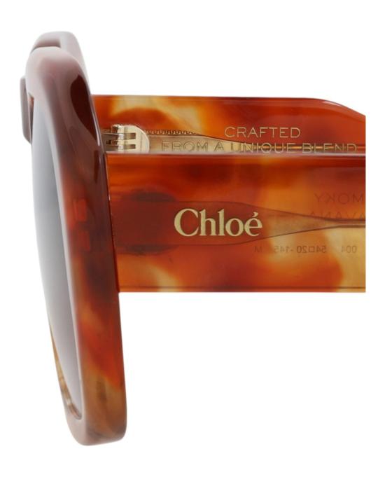  끌로에 선글라스 CH0310S 30016294 004 20954 NS Brown - CHLOE
